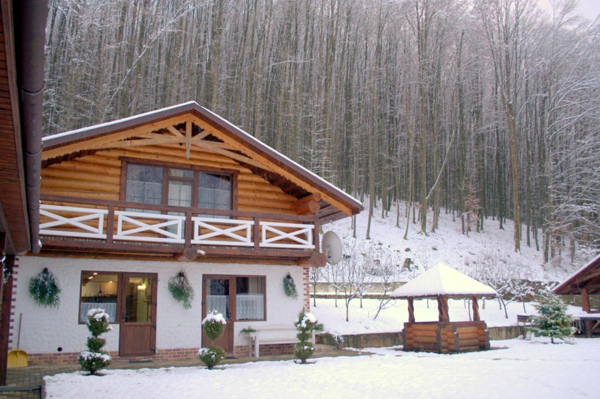 U Druziv Hotel Polyana  Exterior foto